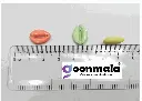 Pastal Plastic Kodi-3.webp
