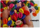 Dark Plastic Cowrie-2.webp