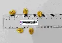 Golden Plastic kodi-3.webp