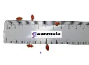Kundan PL Eye 8mm Red-3.webp