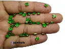 Knd PL S4 Green 2.webp