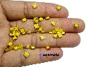 Knd PL S4 Yellow 2.webp