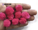 Pom Rani pink 1.webp