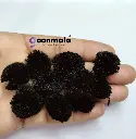 Pom Black 2.webp