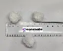 Pom White 3.webp