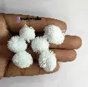 Pom White 2.webp