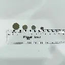 20240201_214727.webp