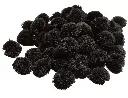 Pom Black cover.webp