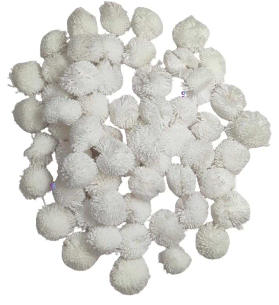 Pom White cover.webp