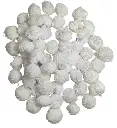 Pom White cover.webp
