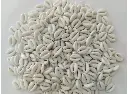White colour artificial Kodi/Cowrie for craft, Jewellery, bracelet, Rakhi, Embroidery work 200 Piece