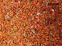 Kundan stone For Jewellery making, Bangles Embroidery Craft & Cloth Works, Resin Eye Kundan 4x8mm, 500 pieces, Orange