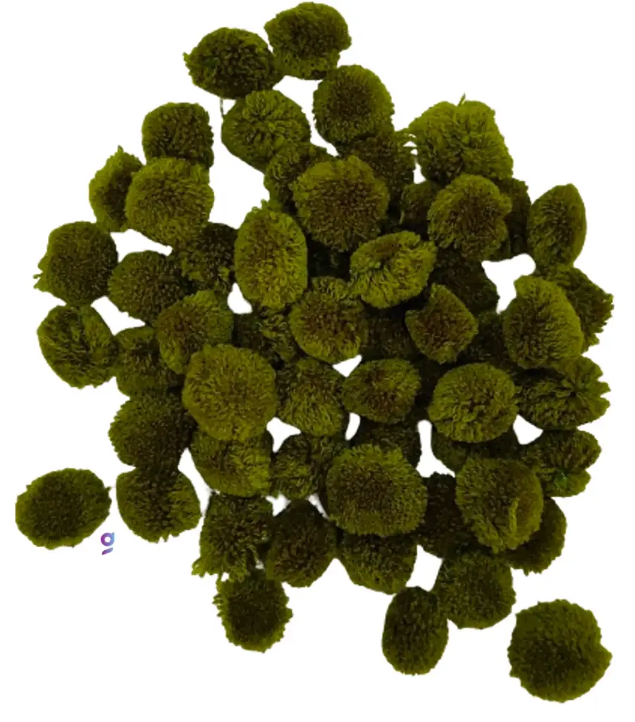 Pom Pom Balls for Arts & Craft, decoration works, 200 Pieces, Mehndi Green