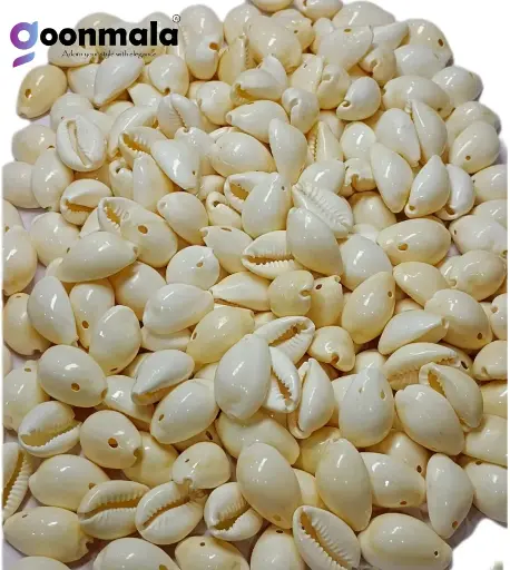 Natural Sea Shell/Cowrie/Kodi for Craft, Jewellery, Work White colour 24 mm (0 Size)