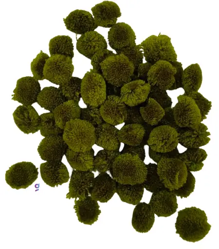 [Pom Pom Mehndi Green  200 pc] Pom Pom Balls for Arts & Craft, decoration works, 200 Pieces, Mehndi Green