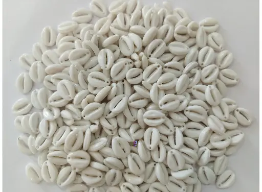 [White Kodi 200pc] White colour artificial Kodi/Cowrie for craft, Jewellery, bracelet, Rakhi, Embroidery work 200 Piece